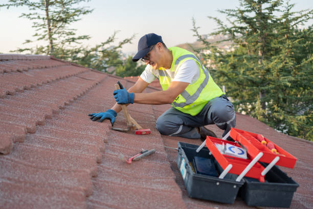 Best Residential Roof Replacement  in Mount Oliver, PA